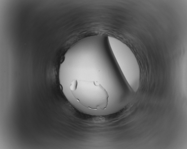 X0000089930279200706290801