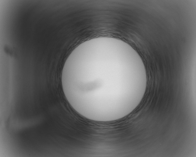 X0000089930280200706290801