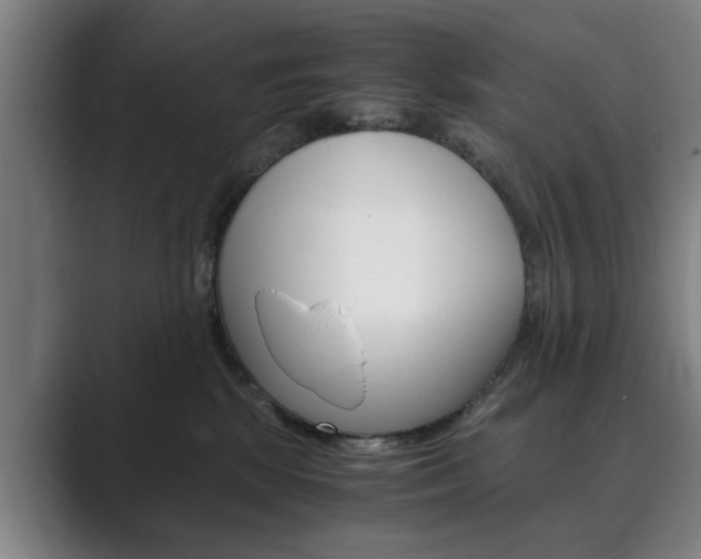 X0000089930281200706290801
