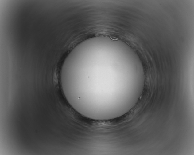 X0000089930282200706290801
