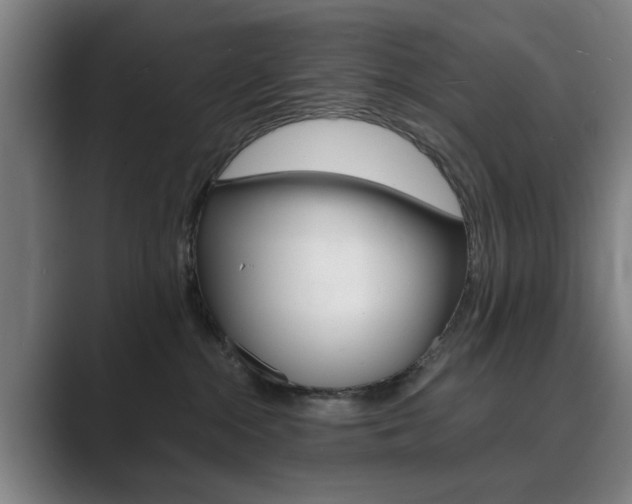 X0000089930284200706290801