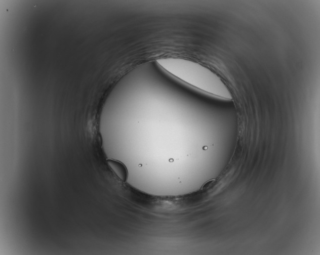 X0000089930285200706290801