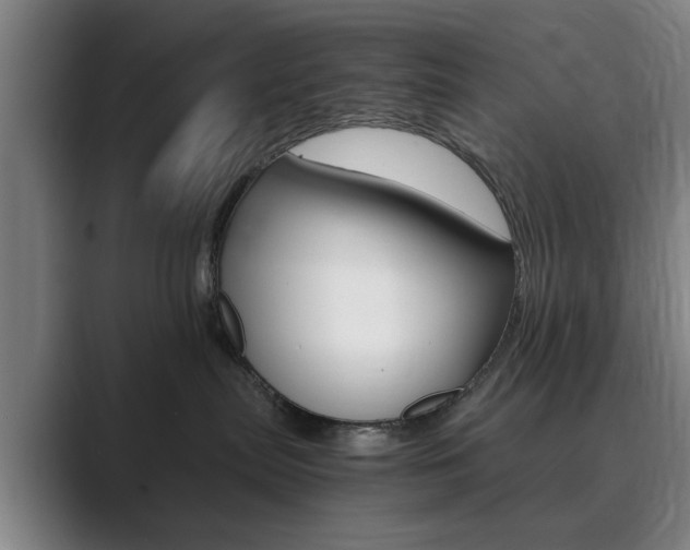 X0000089930287200706290801