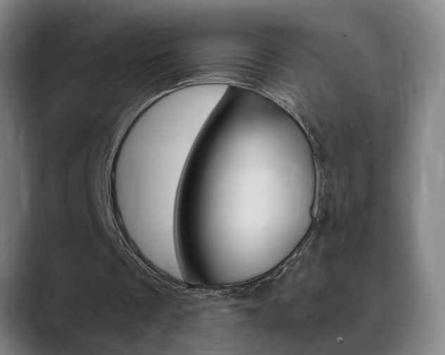 X0000089930289200706290801