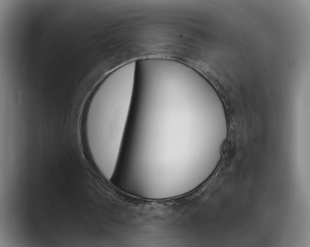 X0000089930290200706290801