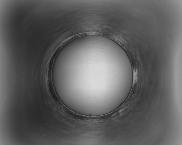X0000089930291200706290801