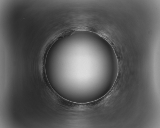 X0000089930293200706290801