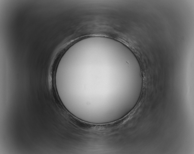 X0000089930294200706290801
