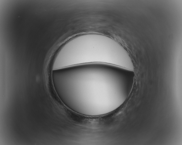 X0000089930295200706290801