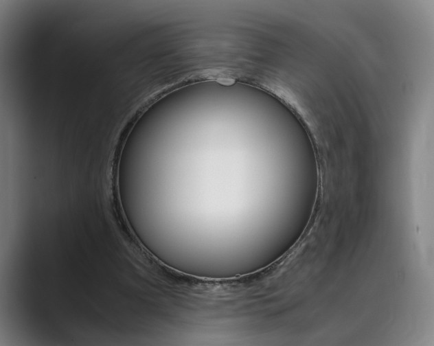 X0000089930297200706290801