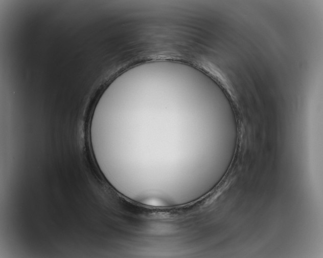 X0000089930298200706290801