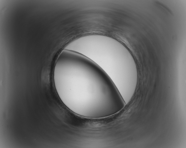 X0000089930299200706290801