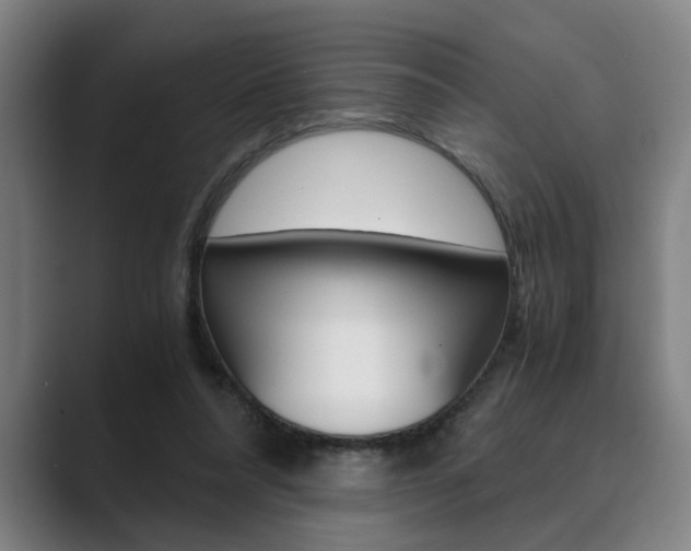 X0000089930304200706290801