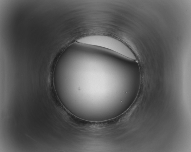 X0000089930305200706290801