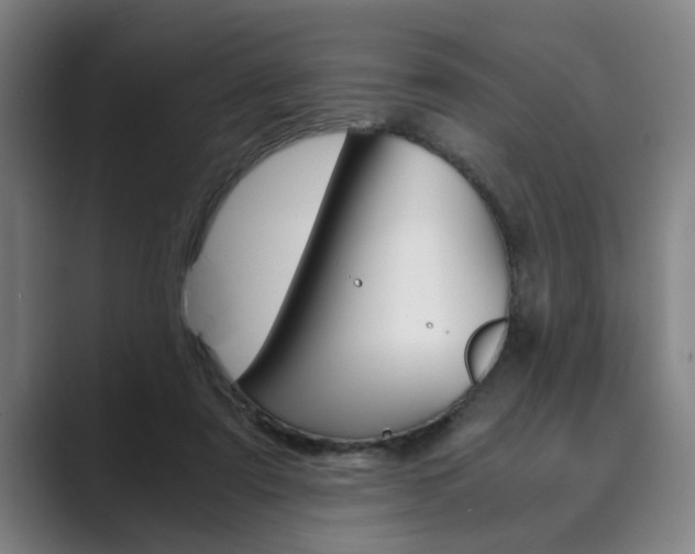 X0000089930307200706290801
