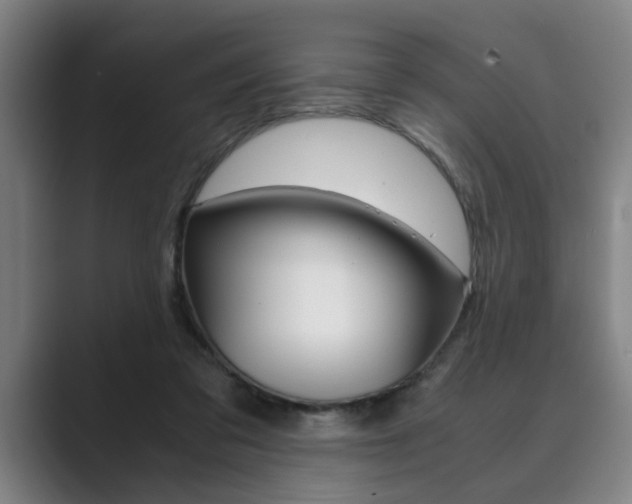 X0000089930309200706290801
