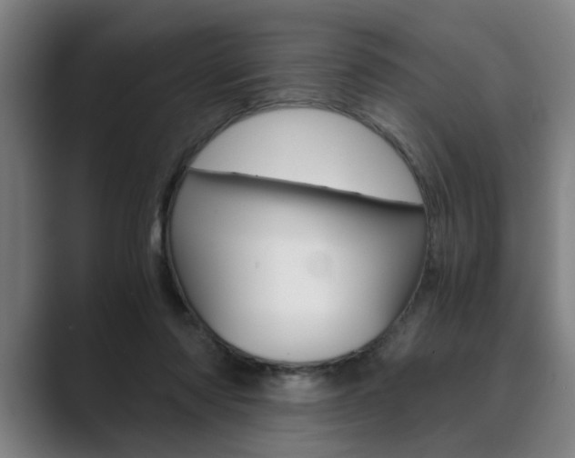 X0000089930310200706290801
