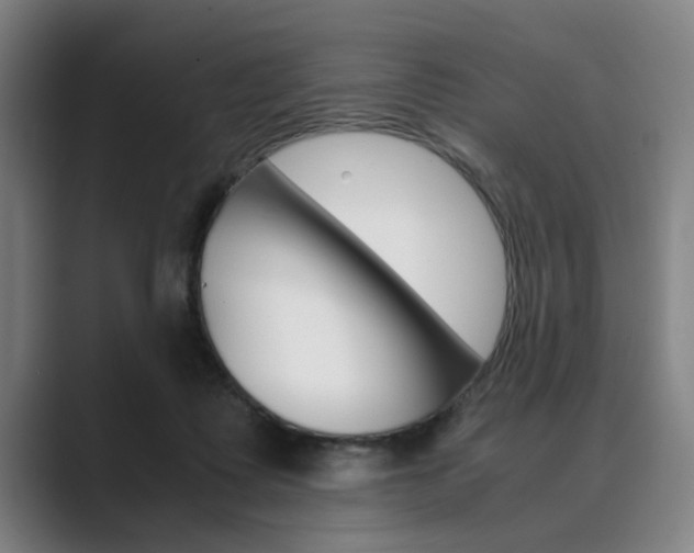 X0000089930315200706290801