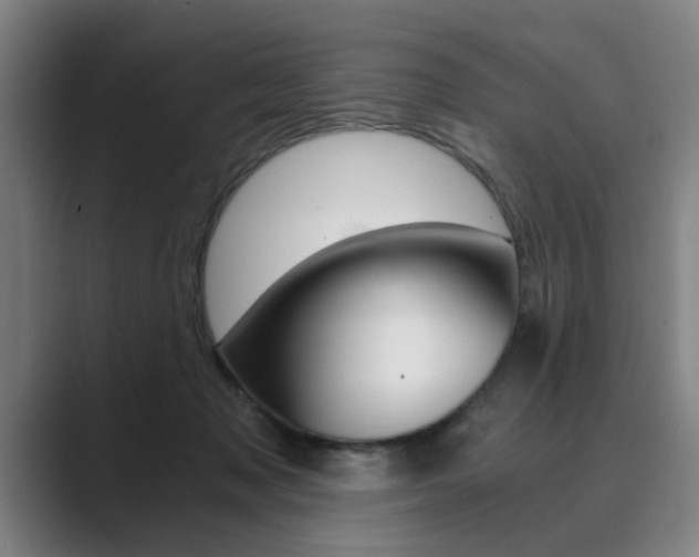 X0000089930317200706290801