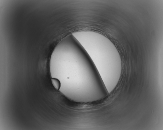 X0000089930319200706290800