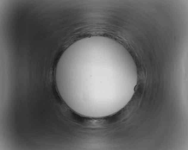 X0000089930323200706290800