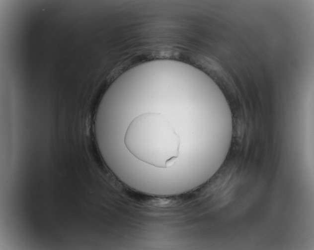 X0000089930326200706290800