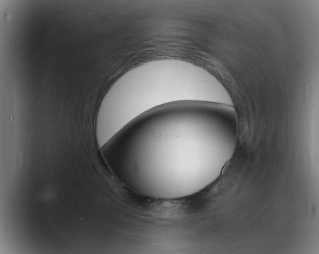 X0000089930329200706290800