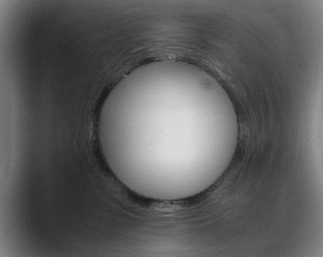 X0000089930331200706290800