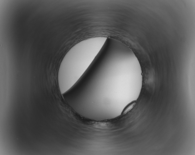 X0000089930332200706290800