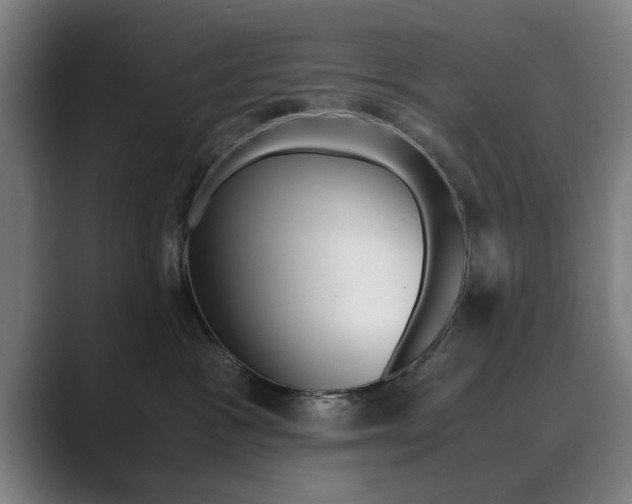 X0000089930333200706290800