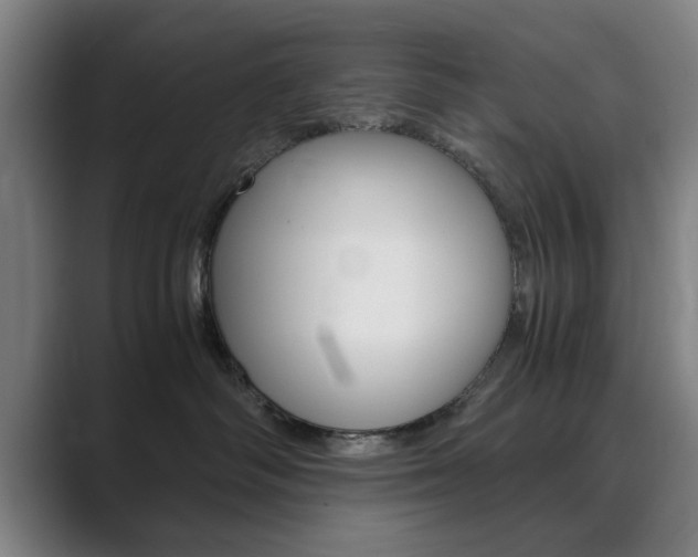 X0000089930334200706290800