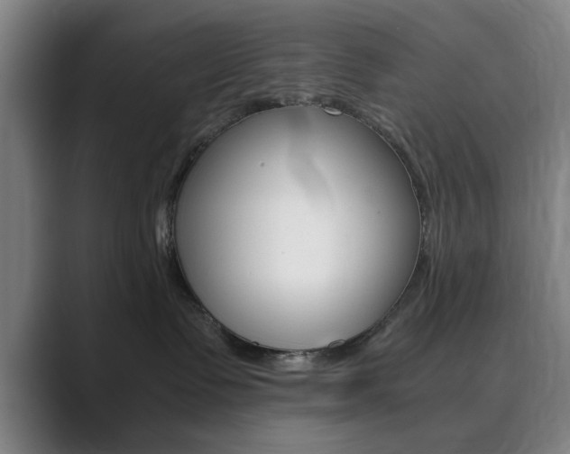 X0000089930335200706290800
