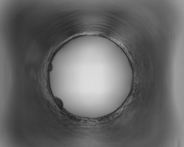 X0000089930337200706290800