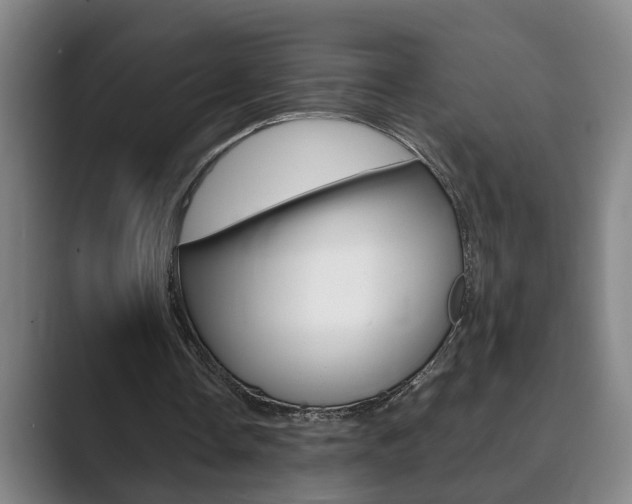 X0000089930338200706290800