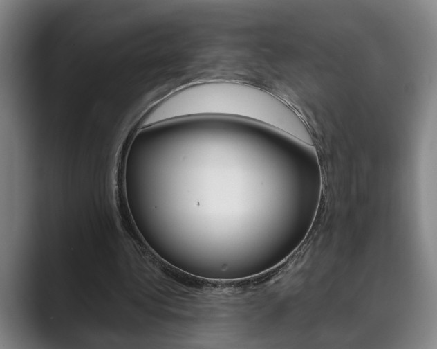 X0000089930340200706290800