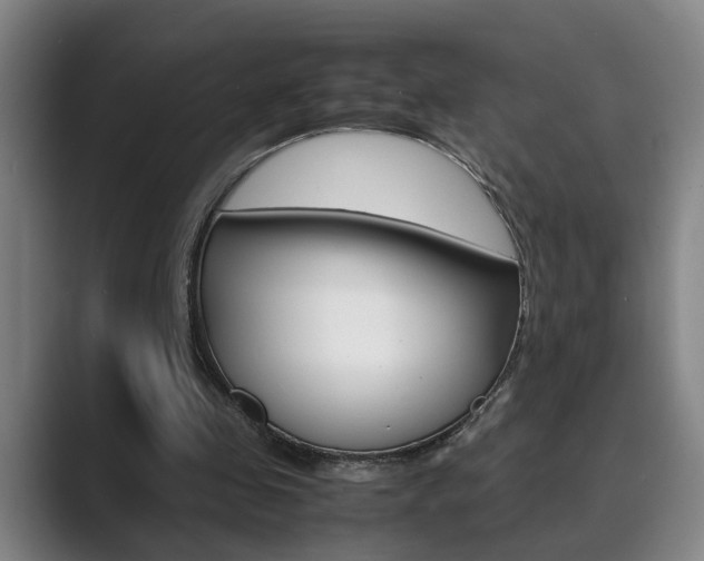 X0000089930341200706290800