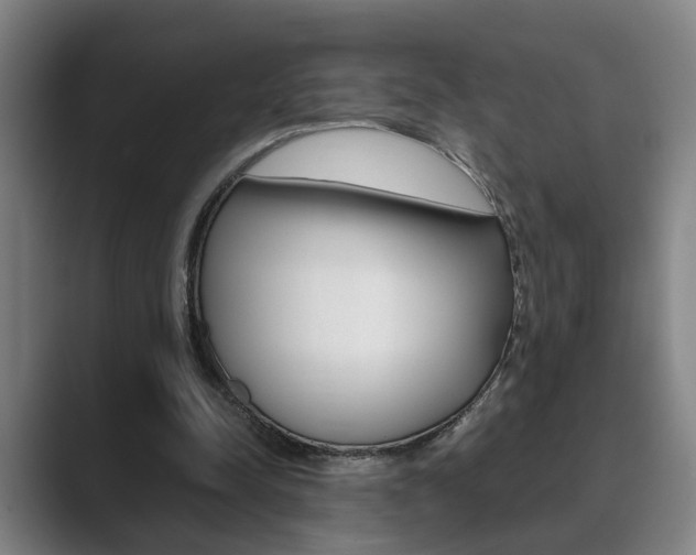 X0000089930342200706290800
