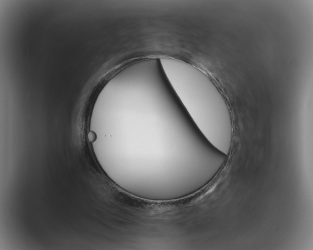 X0000089930343200706290800