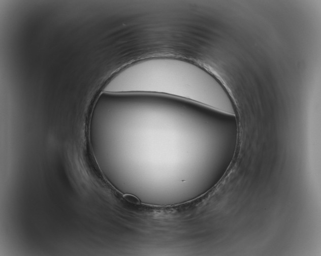 X0000089930345200706290800