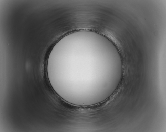 X0000089930346200706290800