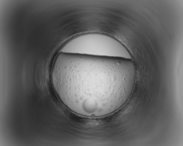X0000089930347200706290800