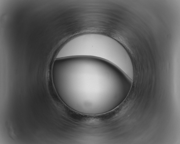 X0000089930348200706290800