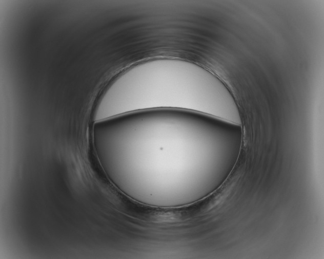 X0000089930349200706290800
