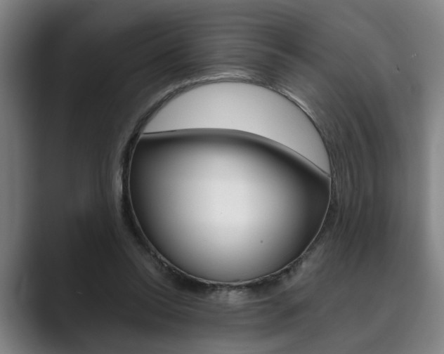 X0000089930350200706290800