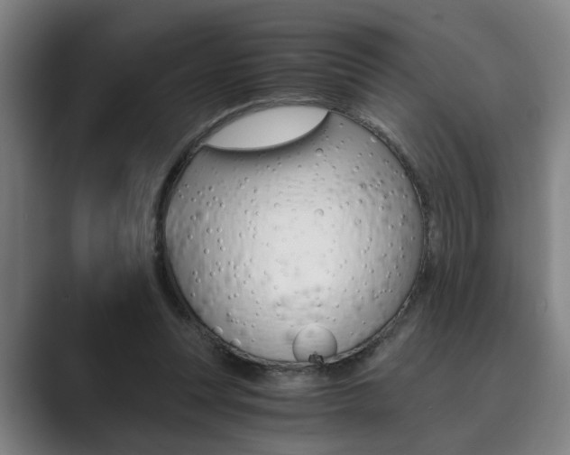 X0000089930351200706290800