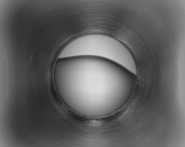 X0000089930352200706290800