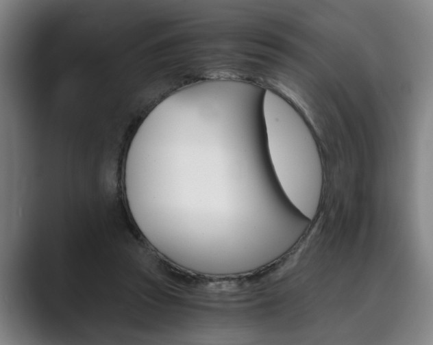 X0000089930353200706290800