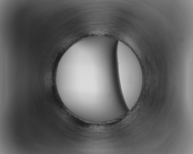 X0000089930354200706290800