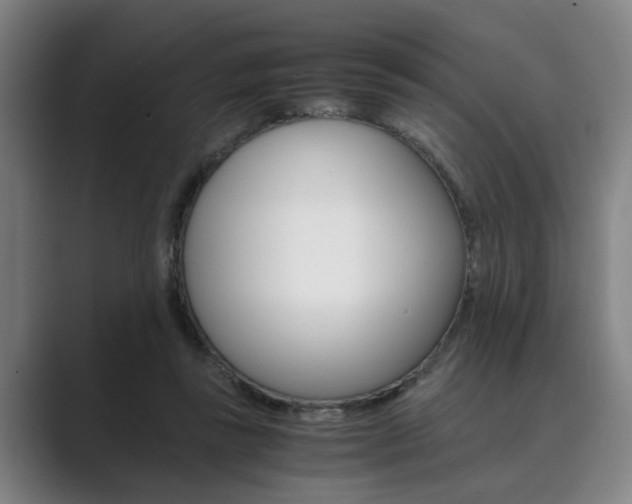 X0000089930355200706290800