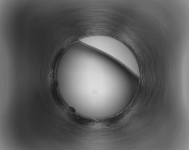 X0000089930356200706290800